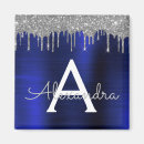 Recherche de bleu argent magnets Glamour
