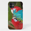 Recherche de perroquet coques Animal