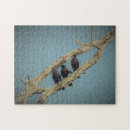 Recherche de à cornes puzzles Oiseaux