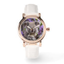 Recherche de koala ours montres Marsupial