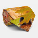 Recherche de gland cravates Automne