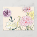 Recherche de oeillet cartes postales Floral