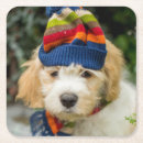 Zoek naar puppy onderzetters Puppies