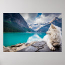 Recherche de loup et lac posters Nature