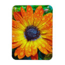 Recherche de grandes fleurs magnets Pour tous