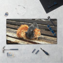 Zoek naar slaperig muismatten Dieren