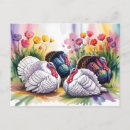 Recherche de dinde cartes postales Oiseau