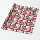 Recherche de poney papier cadeau Colt