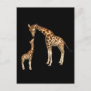 Recherche de girafe bébé cartes postales Girafes
