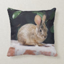 Recherche de lièvre sauvage coussins Faune