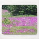 Recherche de fleurs champ tapis souris Printemps