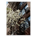 Recherche de greenwich cartes postales Village