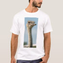 Recherche de autruche tshirts Oiseau
