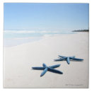 Recherche de étoile carreaux Coquillage