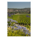 Zoek naar wijngaarden posters Wijnmakerij