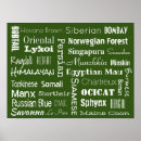 Recherche de race de chat posters Chats