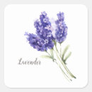 Recherche de fleur lavande autocollants Jolie