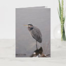 Recherche de oiseaux de neige vœux cartes Héron