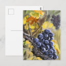 Zoek naar provence briefkaarten Schilderij