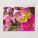 Recherche de sentez les roses Fleur