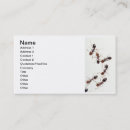 Recherche de fourmi cartes visite Parasite