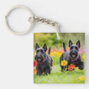 Zoek naar terriers sleutelhangers Schotel