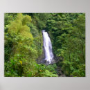 Recherche de forêt tropicale posters La nature