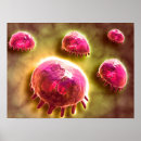 Recherche de système immunitaire posters Monocyte