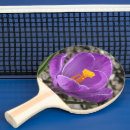 Recherche de crocus Photographie de la nature