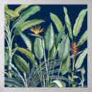 Recherche de fleurs tropicales posters Feuilles verts
