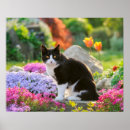 Zoek naar roze kat posters Bloemen