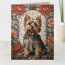 Zoek naar yorkie kaarten Yorkshire dooder