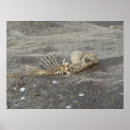 Recherche de tête mort de art Os