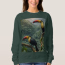 Recherche de deux oiseaux vêtements Mignon