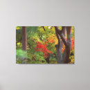 Zoek naar boomstam canvas prints Herfst