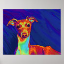 Recherche de levriers posters Animal familier