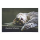 Zoek naar katten gebed posters Geloof