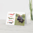 Zoek naar dachshund kaarten Grappig