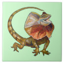 Recherche de lézard carreaux Dragon