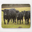 Recherche de bovins tapis souris Agriculture