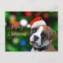 Recherche de boxeur vœux cartes Xmas