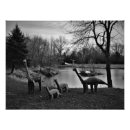 Recherche de balade photographie Voyage