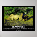 Zoek naar afrika fotografie Wild