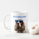 Recherche de chien domestique tasses Amoureux des chiens