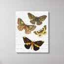 Recherche de mites art Steampunk