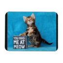 Recherche de de chaton magnets Humour