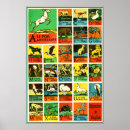 Recherche de alphabet animal posters Enseignant