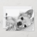 Recherche de dessin de chien cartes postales Illustration