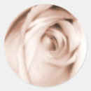 Recherche de roses rouges autocollants Fleurs