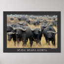 Recherche de carte africaine posters Voyage